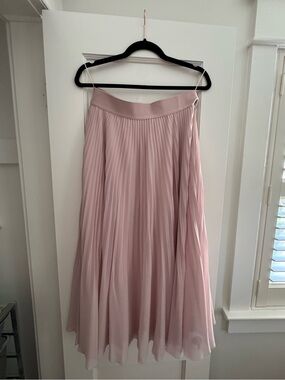 Aritzia Wildfred Twirl Pleated Skirt